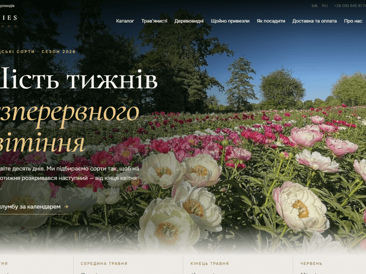 Peonies Holland — пионы из Нидерландов